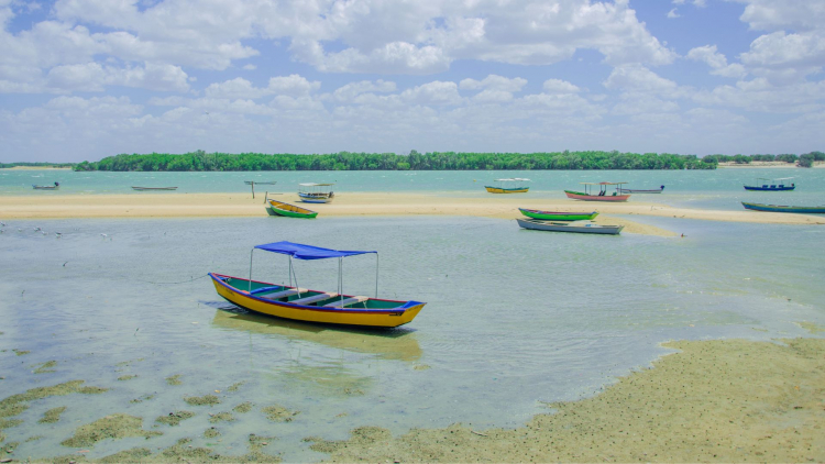 PASSEIO DE GALINHOS (BARCO INCLUSO)